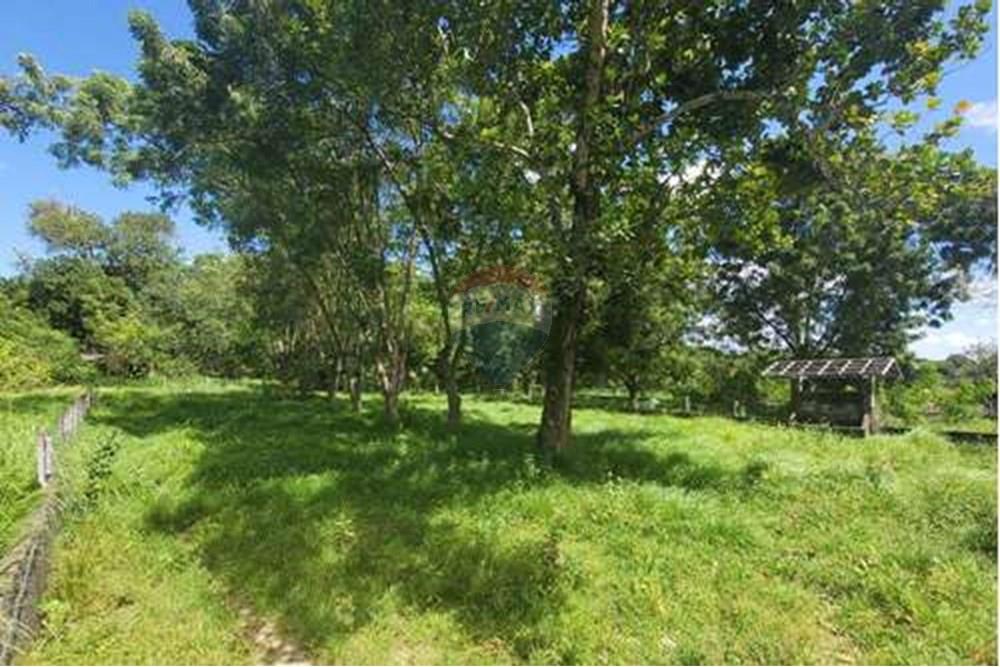 Chácara / Sítio / Fazenda - Venda - Conde , Paraíba - L_c21fefeb-6001-40f5-99b3-a066d3c31bf9.jpg - 722011055-33