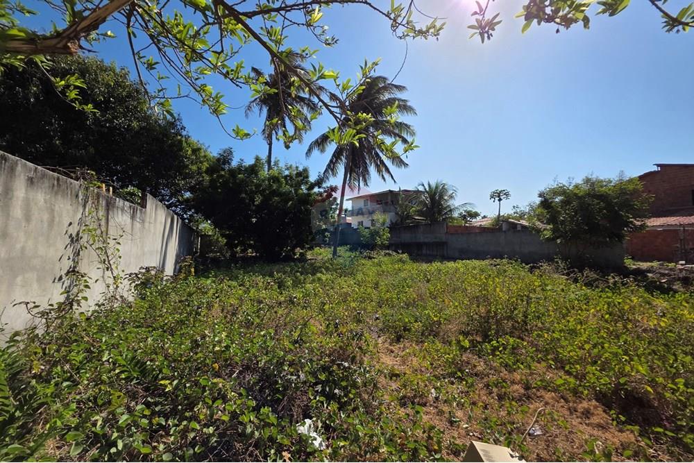 Terreno - Venda - Trairi , Ceará - 1000193087.jpg - 722341001-100