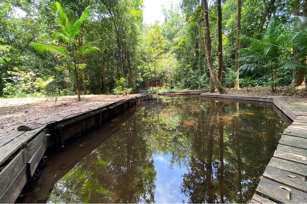 Chácara / Sítio / Fazenda - Venda - Barcarena , Pará - IMG-20250924-WA0465.jpg - 720921028-93