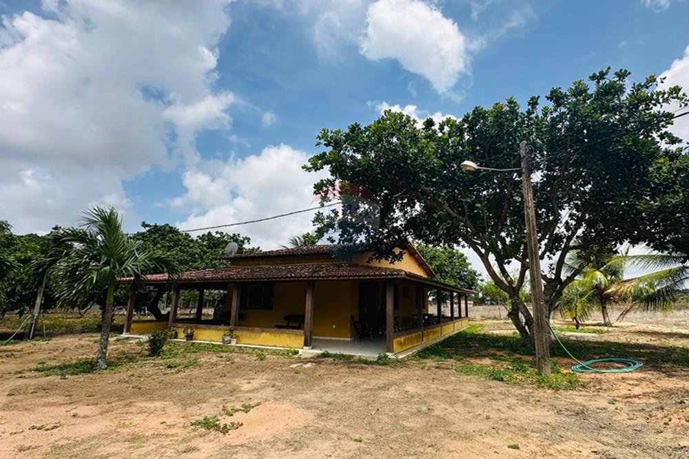 Chácara / Sítio / Fazenda - Venda - São José de Mipibu , Rio Grande do Norte - IMG-20250206-WA0059.jpg - 720811013-67