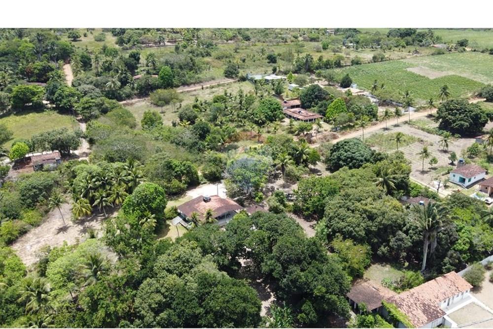 Chácara / Sítio / Fazenda - Venda - Conde , Paraíba - DJI_0272.JPG - 720871004-216