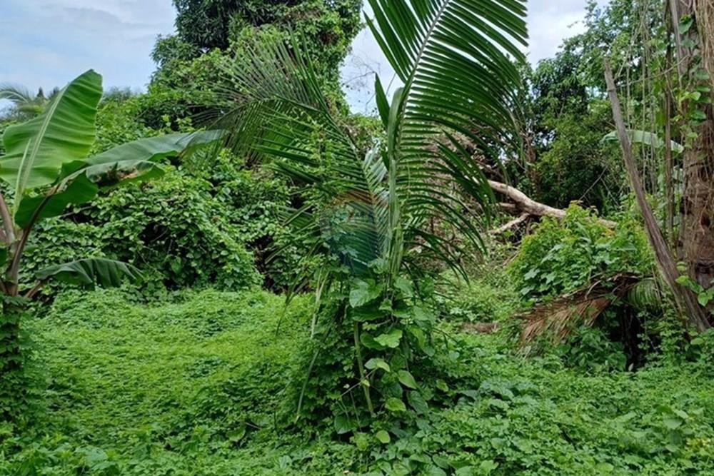 Terreno - Venda - Rondonópolis , Mato Grosso - 2.jpg - 720851102-39