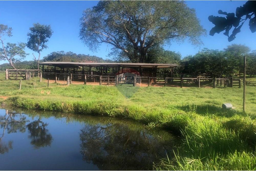 Fazenda - Venda - Guiratinga , Mato Grosso - IMG-20250812-WA0117.jpg - 721981068-2