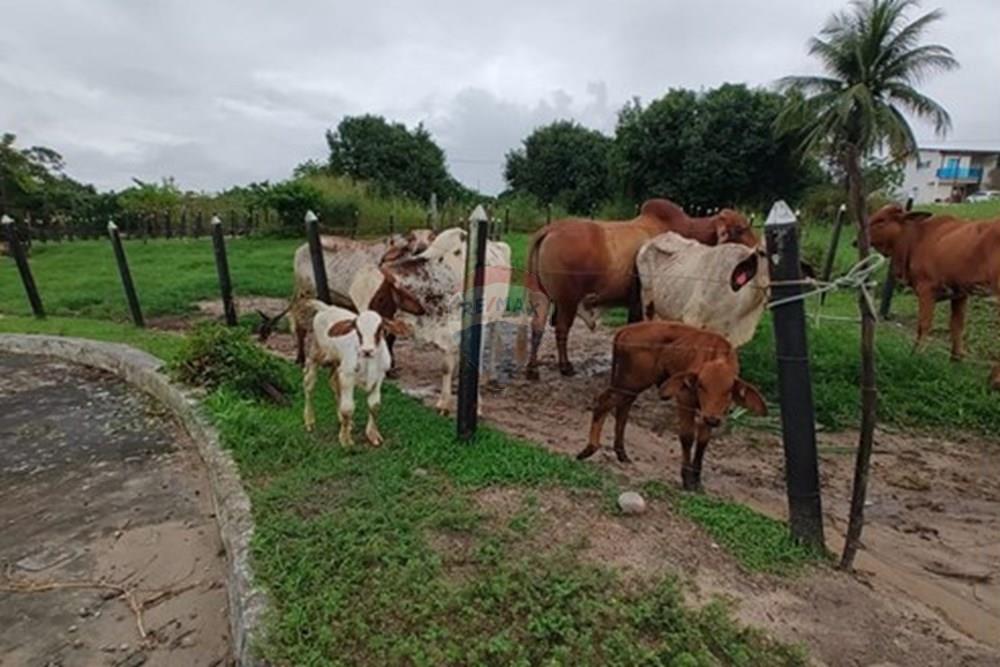 Terreno - Venda - Conde , Paraíba - WhatsApp Image 2025-05-30 at 09.14.45 (1).jpeg - 720871050-18