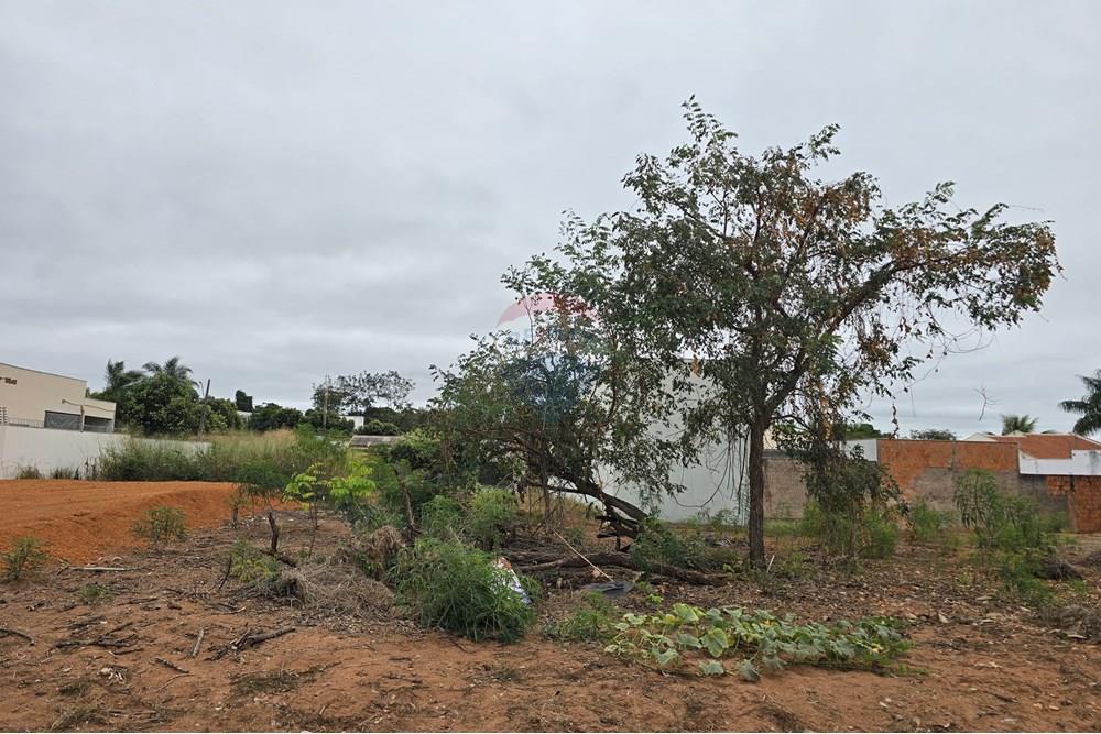 Terreno - Venda - Rondonópolis , Mato Grosso - WhatsApp Image 2025-07-03 at 15.42.33 (1).jpeg - 720851064-28