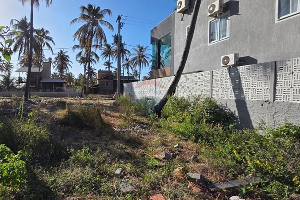 Terreno - Venda - Trairi , Ceará - 1000189524.jpg - 722341001-103