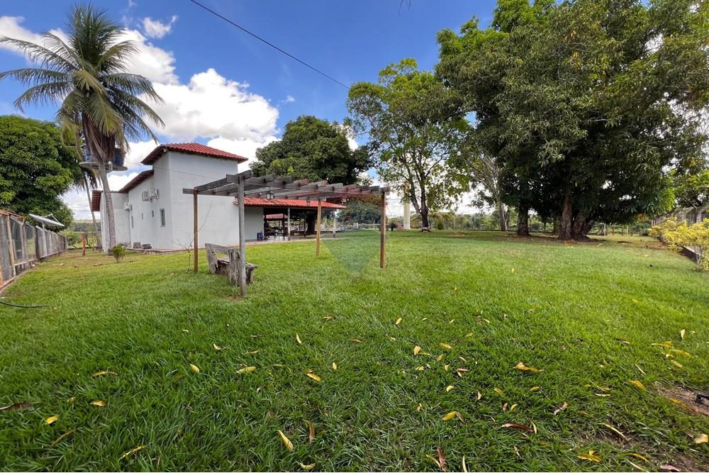 Agro - Venda - Babaçulândia , Tocantins - WhatsApp Image 2025-06-07 at 21.46.36.jpeg - 720991010-71