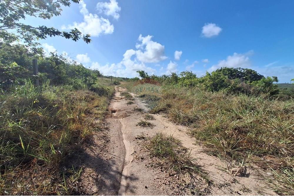 Terreno - Venda - Pitimbu , Paraíba - 8a56641f-d63c-4abb-8397-90c31101f2fc.jpg - 720871044-59