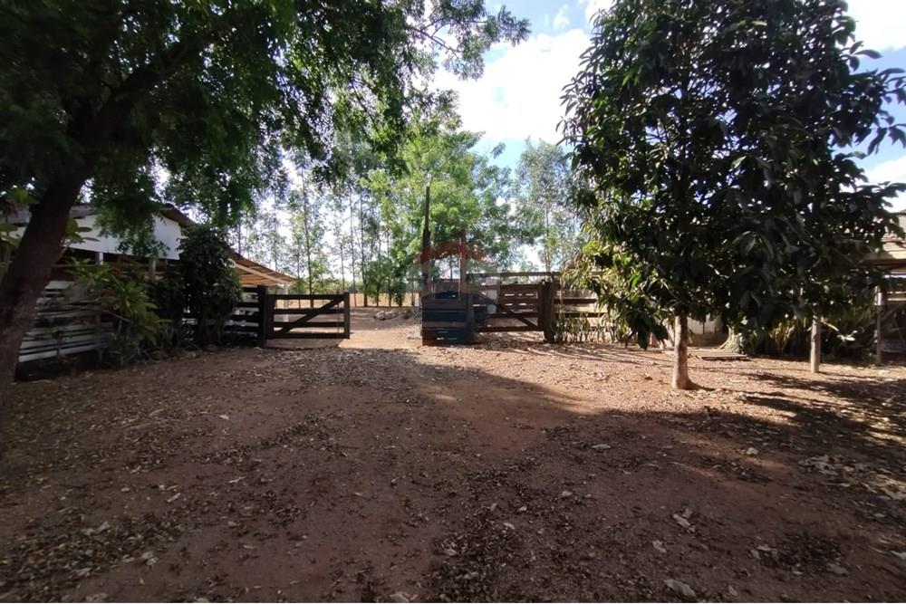 Chácara / Sítio / Fazenda - Venda - Sinop , Mato Grosso - WhatsApp Image 2025-08-07 at 14.46.31 (2).jpeg - 721561039-35