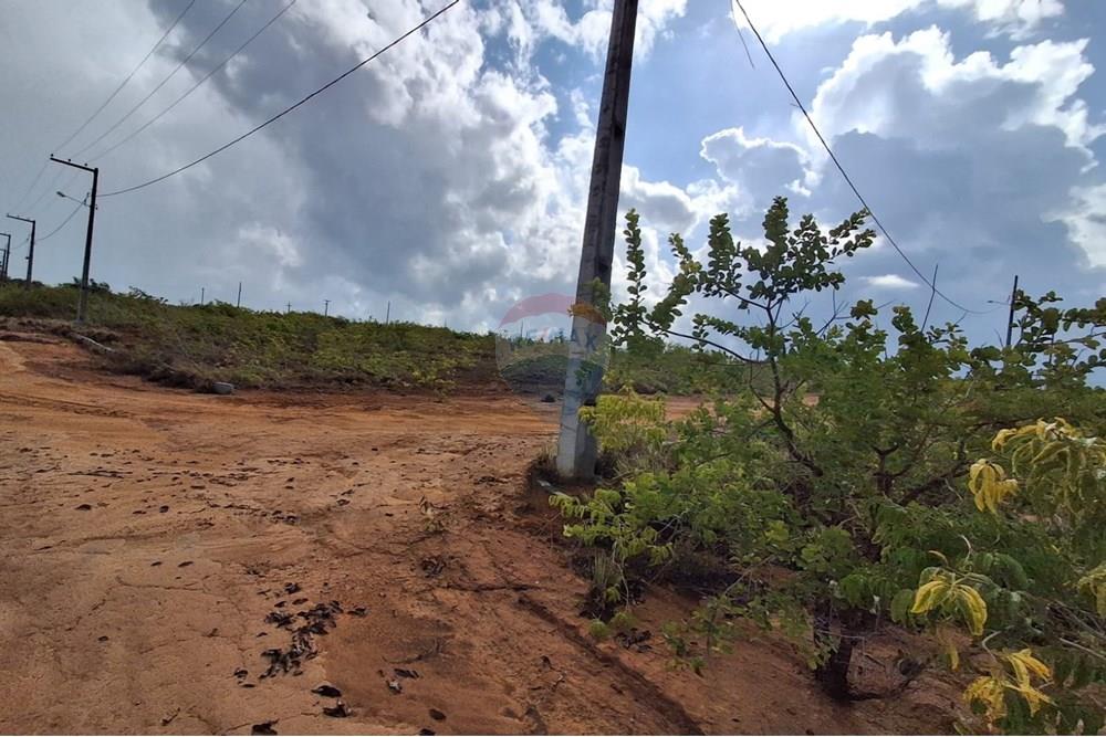 Terreno - Venda - Conde , Paraíba - 100997fd-8c3f-4c67-87d0-ca47edacbcff.jpeg - 720871044-31