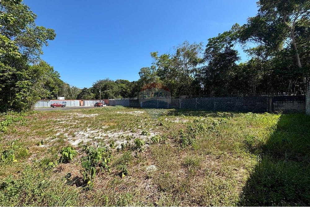 Terreno - Venda - Manaus , Amazonas - WhatsApp Image 2025-08-01 at 09.08.24 (1).jpeg - 720791062-49