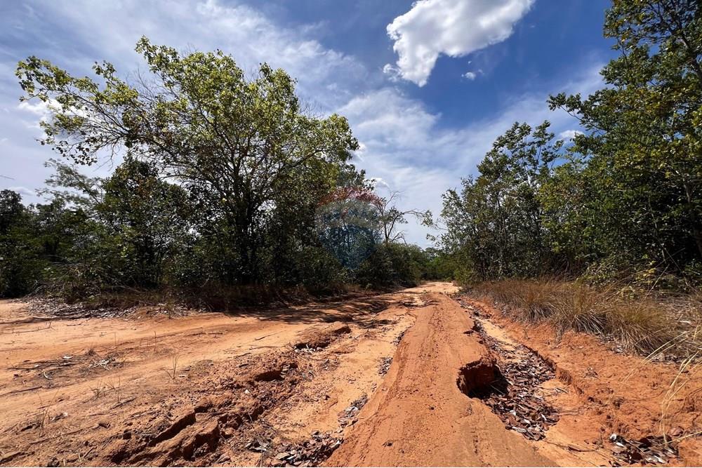 Agro - Venda - Carolina , Maranhão - WhatsApp Image 2025-08-07 at 12.38.45.jpeg - 720991042-3
