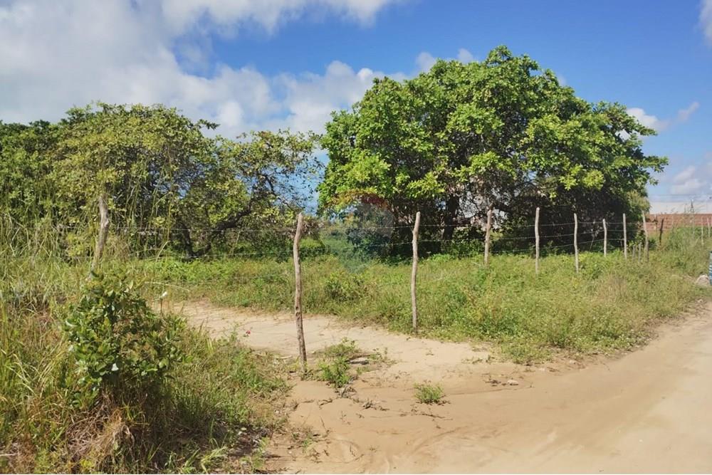 Terreno - Venda - Conde , Paraíba - TERRENO NARLON.jpg - 720871056-11