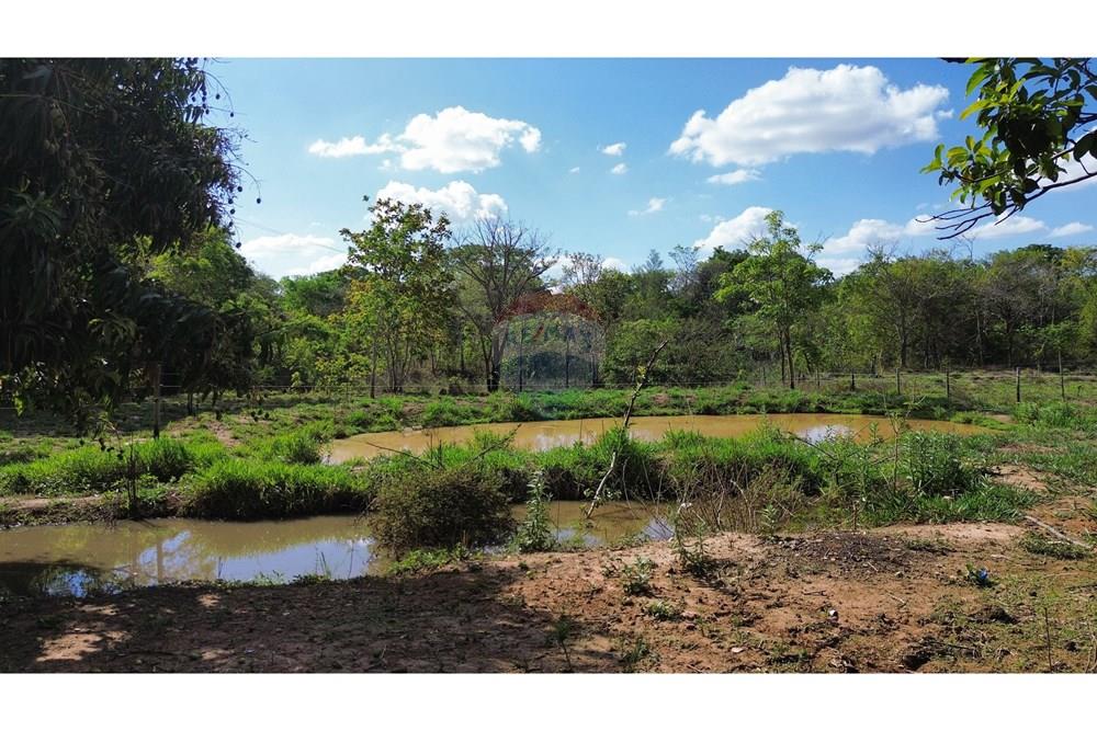 Chácara / Sítio / Fazenda - Venda - Caldas Novas , Goiás - IMG_6970.JPG - 722251025-1