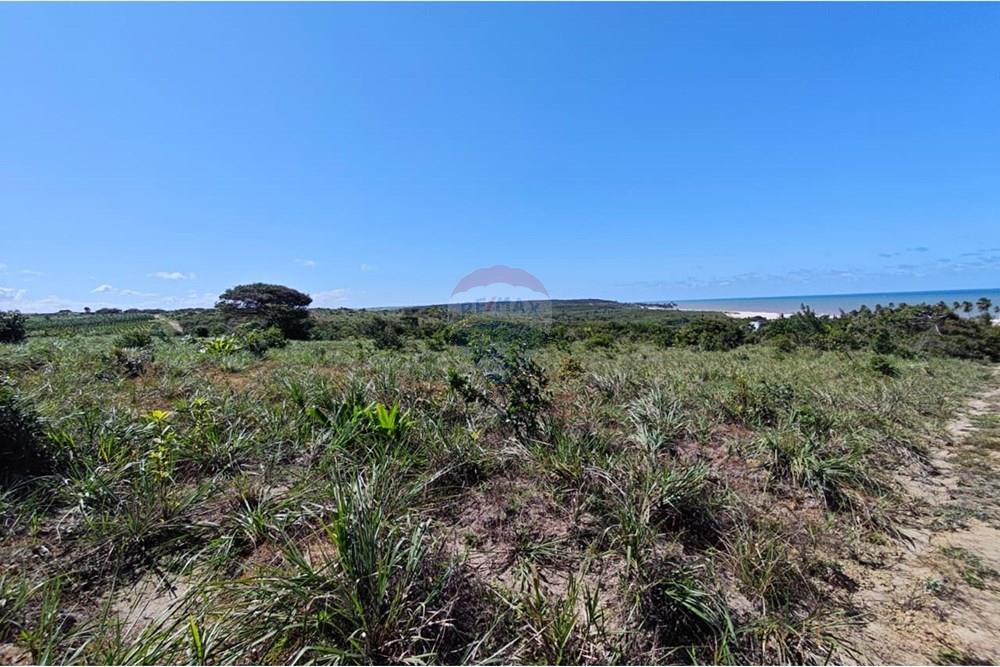 Terreno - Venda - Pitimbu , Paraíba - WhatsApp Image 2025-08-28 at 18.48.47.jpeg - 720871009-186