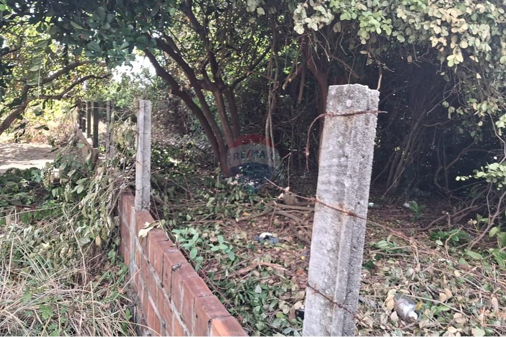 Terreno - Venda - Conde , Paraíba - cf9fc8ac-e1cd-42c6-b7bd-526961701187.jpeg - 720871044-69