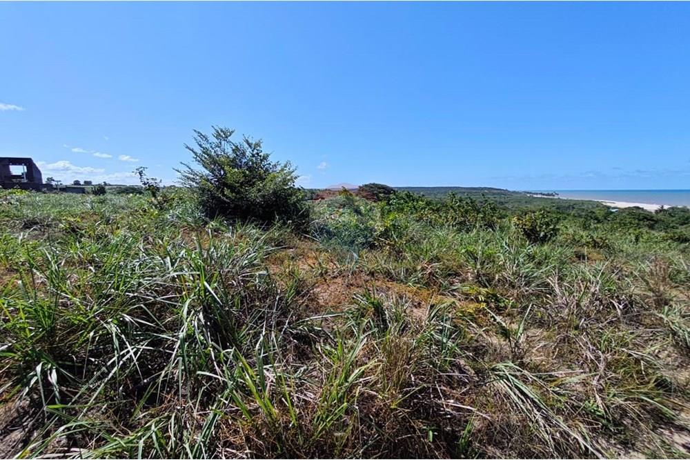 Terreno - Venda - Pitimbu , Paraíba - WhatsApp Image 2025-08-28 at 18.48.41 (1).jpeg - 720871009-189