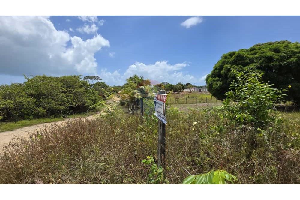 Terreno - Venda - Conde , Paraíba - afda4b91-d128-4135-b852-360dc48a126f.jpg - 720871061-11