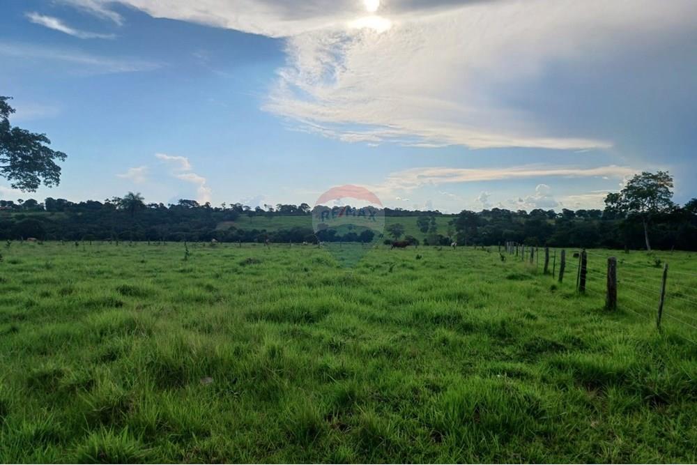 Chácara / Sítio / Fazenda - Venda - São José do Povo , Mato Grosso - WhatsApp Image 2025-04-03 at 17.01.54 (2).jpeg - 722261017-2