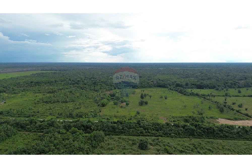 Chácara / Sítio / Fazenda - Venda - Canutama , Amazonas - DJI_0057.JPG - 721551016-61