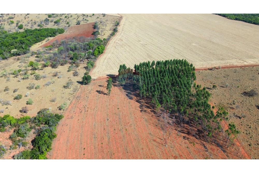 Chácara / Sítio / Fazenda - Venda - Catalão , Goiás - WhatsApp Image 2025-09-26 at 15.29.18 (3).jpeg - 722251002-53