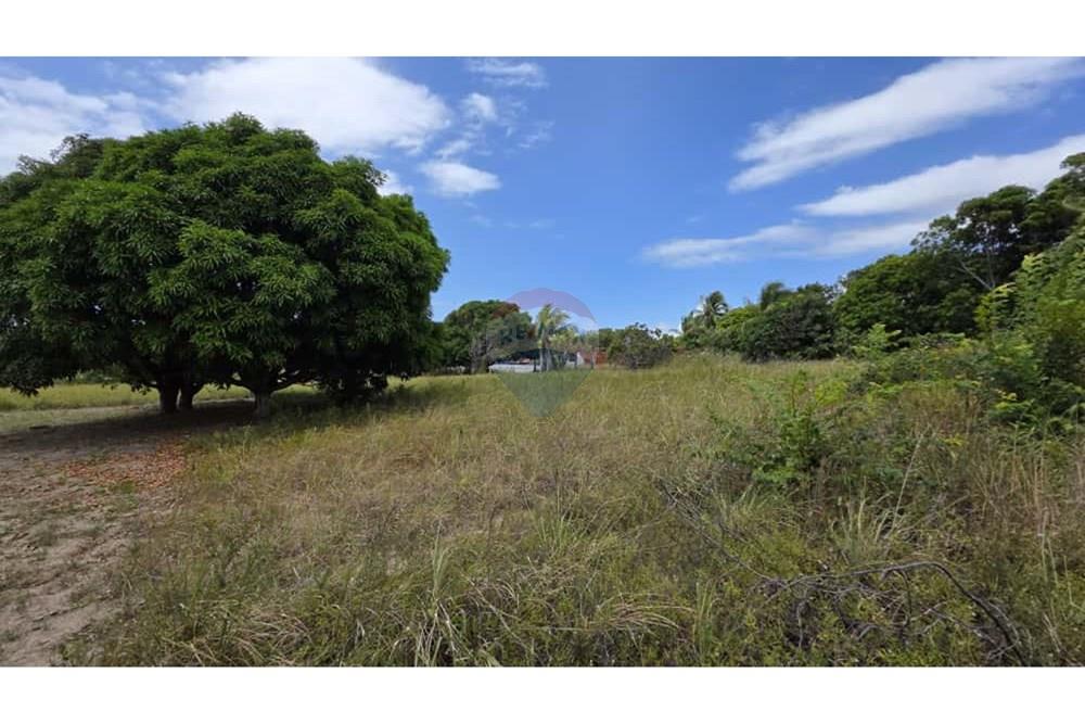 Terreno - Venda - Conde , Paraíba - 7e9c4478-0a40-4178-abe2-37a2354443eb.jpg - 720871061-11