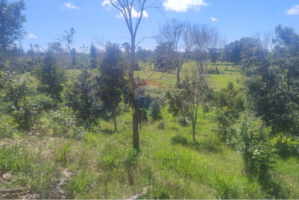 Chácara / Sítio / Fazenda - Venda - Confresa , Mato Grosso - IMG-20250926-WA0034.jpg - 720641046-10