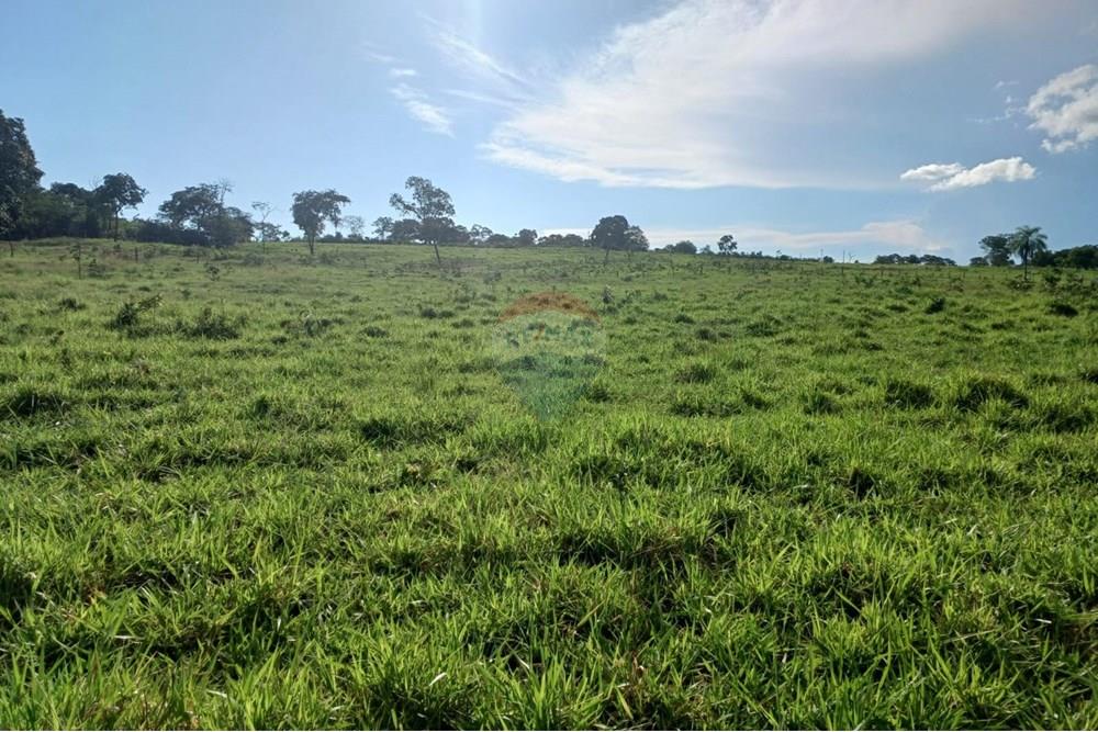 Chácara / Sítio / Fazenda - Venda - São José do Povo , Mato Grosso - WhatsApp Image 2025-04-03 at 17.01.52 (2).jpeg - 722261017-2