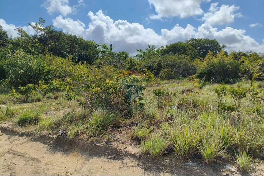 Terreno - Venda - Conde , Paraíba - CARAPIBUS 1.jpg - 720871056-27