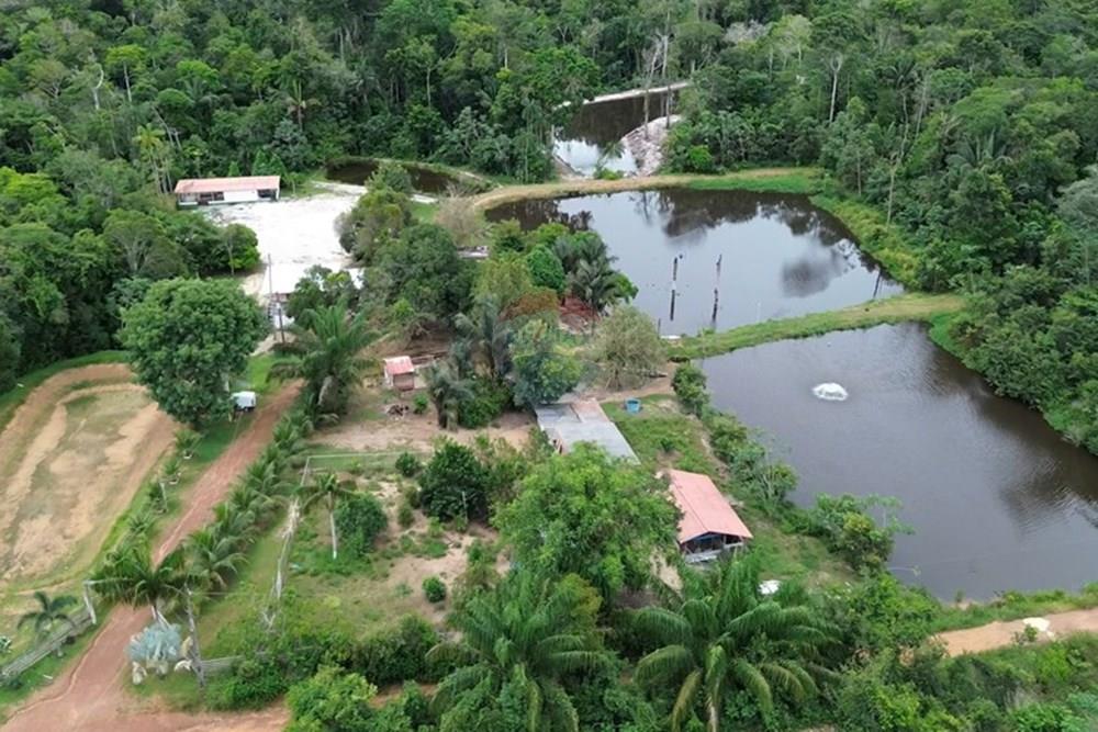 Chácara / Sítio / Fazenda - Venda - Novo Airão , Amazonas - Tanques de Peixes11.jpg - 720721055-29