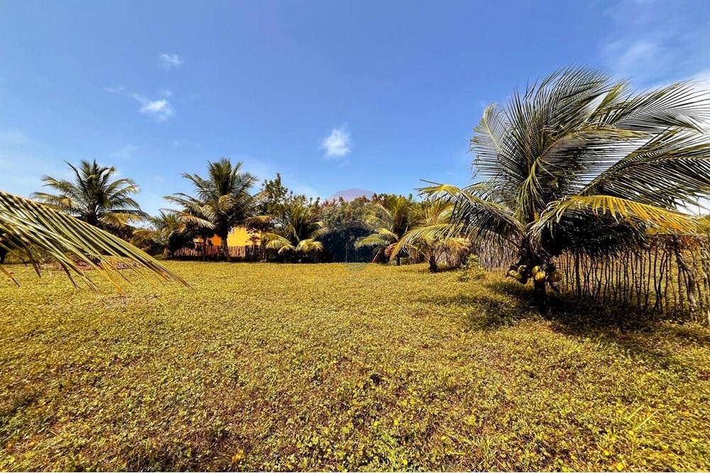 Terreno - Venda - Touros , Rio Grande do Norte - WhatsApp Image 2025-09-23 at 18.39.47.jpeg - 720891024-232