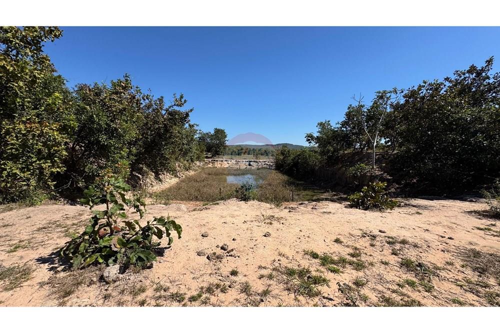 Fazenda - Venda - Santo Antônio do Leverger , Mato Grosso - 3b8bdd31-f2b8-48ae-a656-2f0c1eea1eff.jpeg - 720611035-41