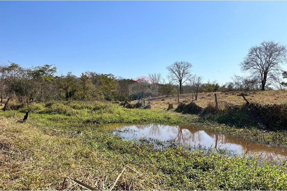 Fazenda - Venda - São José do Povo , Mato Grosso - WhatsApp Image 2025-08-20 at 09.44.09 (6).jpeg - 720561029-219