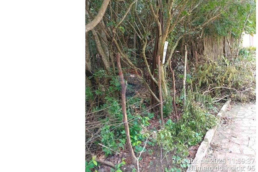 Terreno - Venda - Tibau do Sul , Rio Grande do Norte - Gustavo18.jpeg - 720891150-75