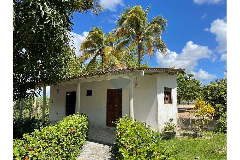 Chácara / Sítio / Fazenda - Venda - Conde , Paraíba - WhatsApp Image 2024-02-02 at 13.16.09.jpeg - 720871004-212