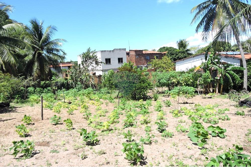 Terreno - Venda - Parnamirim , Rio Grande do Norte - DSCN4930.JPG - 720891150-66