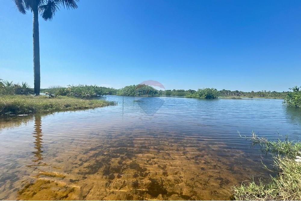 Chácara / Sítio / Fazenda - Venda - Araguaína , Tocantins - WhatsApp Image 2025-08-23 at 10.58.46 (1).jpeg - 720991046-7