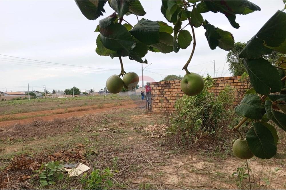 Terreno - Venda - Porto Alegre do Norte , Mato Grosso - e915d7f5-8c6c-4c9a-93eb-8d7303c648a0.jpg - 720641031-27