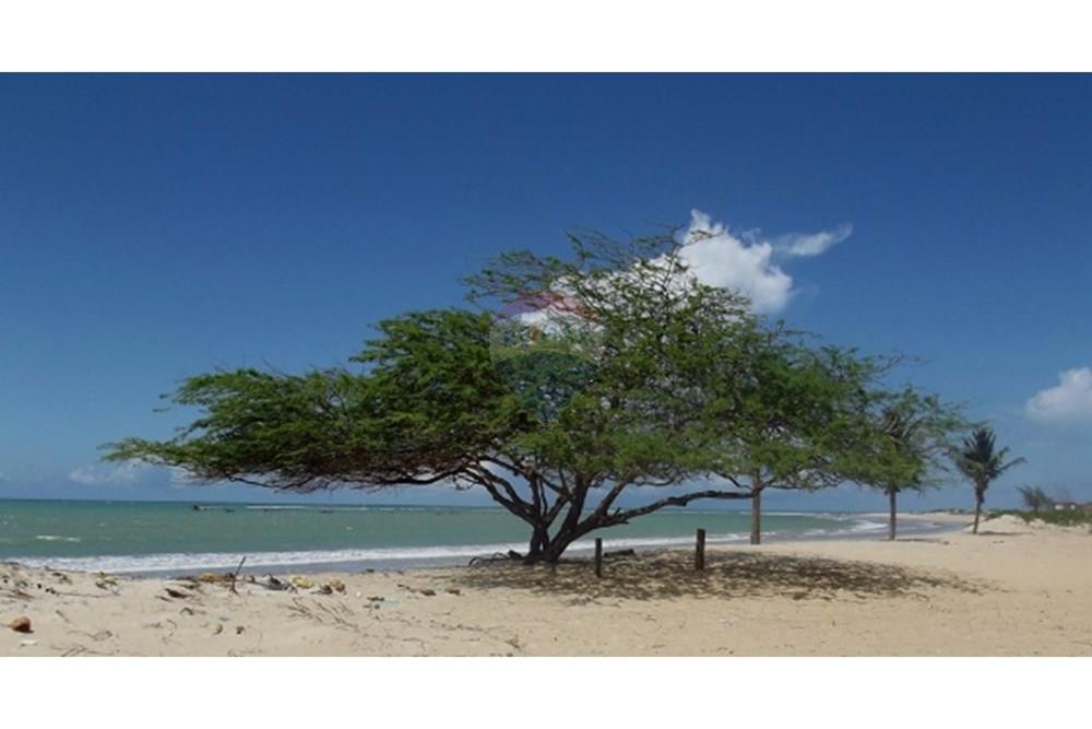 Terreno - Venda - São Miguel do Gostoso , Rio Grande do Norte - Sem título21.jpg - 720891215-11