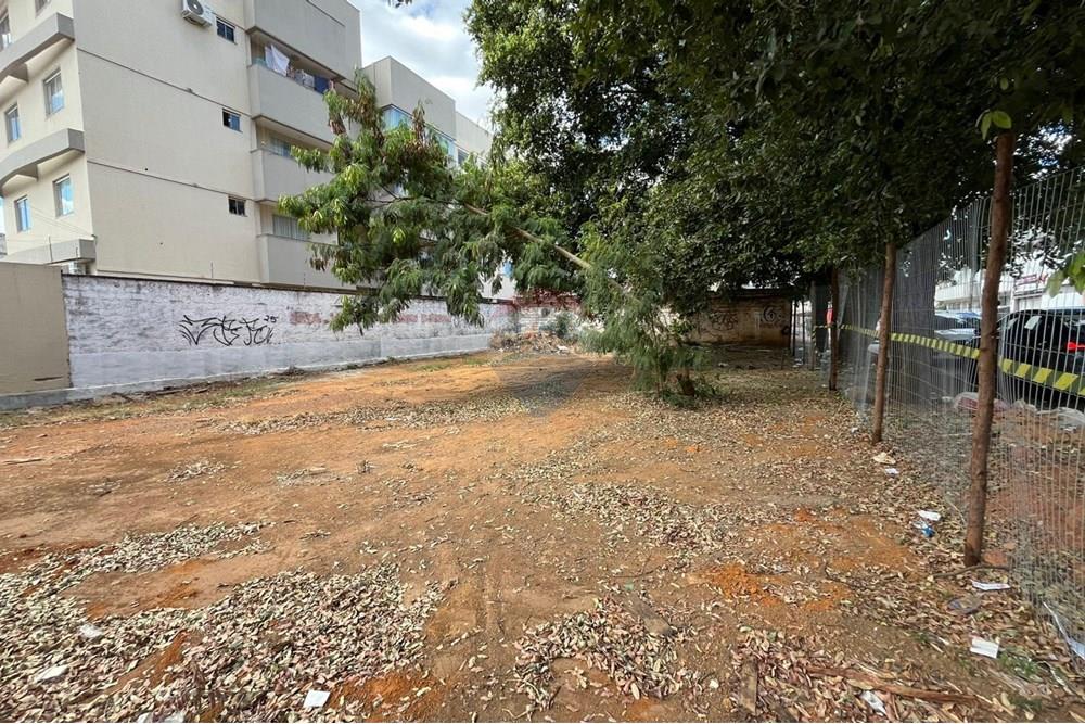 Terreno - Venda - Goiânia , Goiás - Imagem do WhatsApp de 2025-07-30 à(s) 17.49.20_c9667365.jpg - 722271011-19