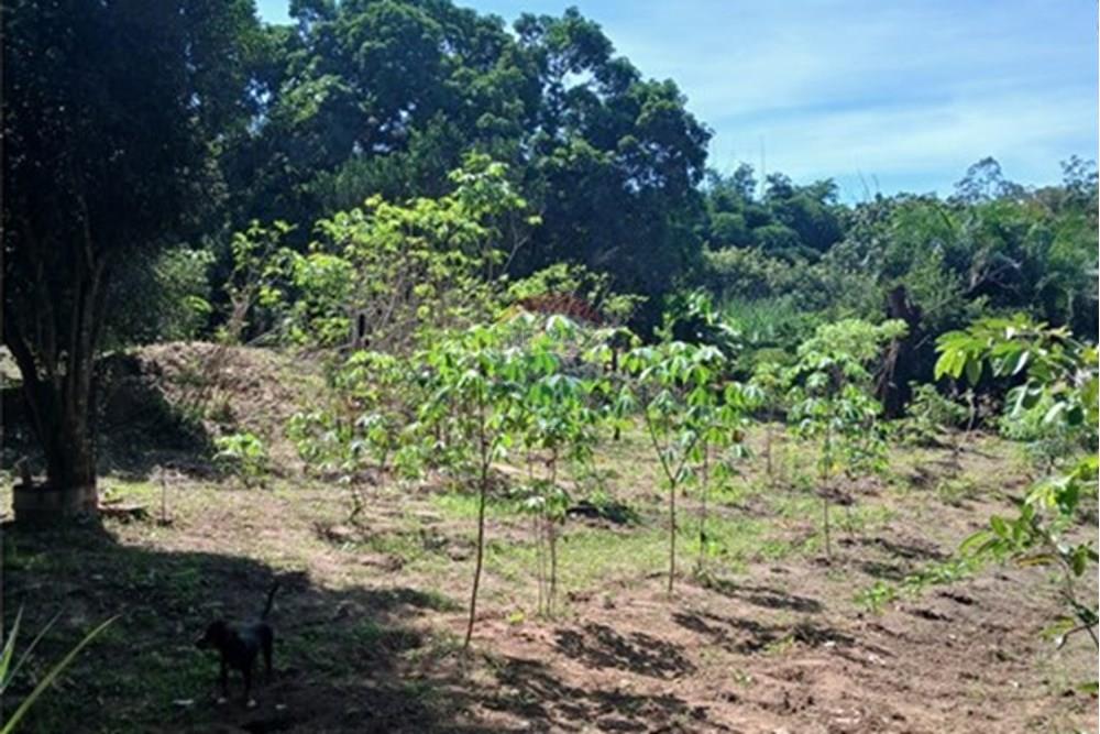 Chácara / Sítio / Fazenda - Venda - Rondonópolis , Mato Grosso - WhatsApp Image 2025-05-12 at 16.32.18 (6).jpeg - 720611007-91
