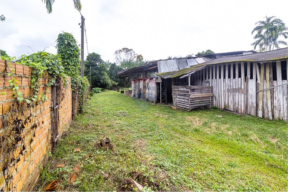 Terreno - Venda - Belém , Pará - IMG_7996.jpg - 720921007-94