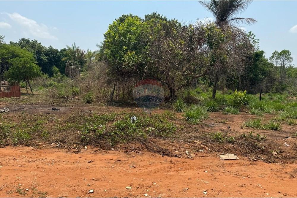 Terreno - Venda - Araguaína , Tocantins - WhatsApp Image 2024-11-29 at 17.45.36 (5).jpeg - 722171003-95