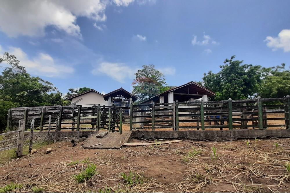 Chácara / Sítio / Fazenda - Venda - Conde , Paraíba - 20211021_105354.jpg - 722011055-33