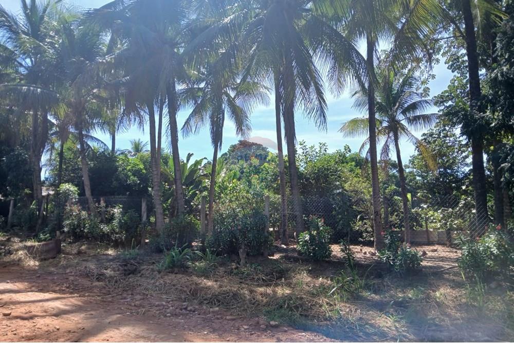 Chácara / Sítio / Fazenda - Venda - Rondonópolis , Mato Grosso - WhatsApp Image 2025-05-12 at 16.32.18 (1).jpeg - 720611007-91