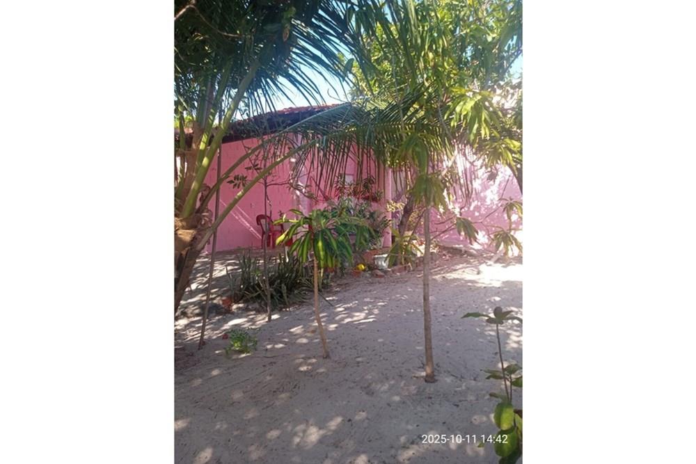 Chácara / Sítio / Fazenda - Venda - Parnaíba , Piauí - WhatsApp Image 2025-10-15 at 09.35.36 (3).jpeg - 722361007-3