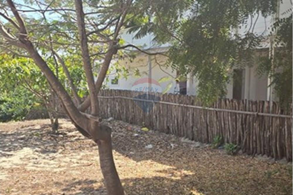 Terreno - Venda - Cruz , Ceará - 20250806_095427.jpg - 722341001-74