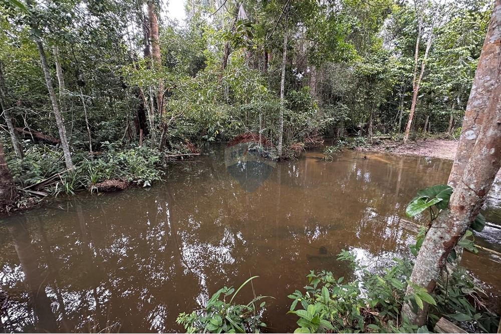 Fazenda - Venda - Itapuã do Oeste , Rondônia - IMG_0348.JPG - 721551004-289