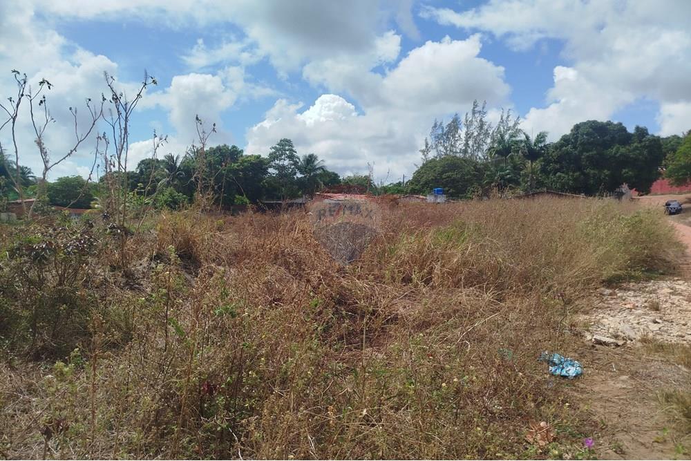 Terreno - Venda - Nísia Floresta , Rio Grande do Norte - WhatsApp Image 2024-11-22 at 21.32.29 (2).jpeg - 720891013-74
