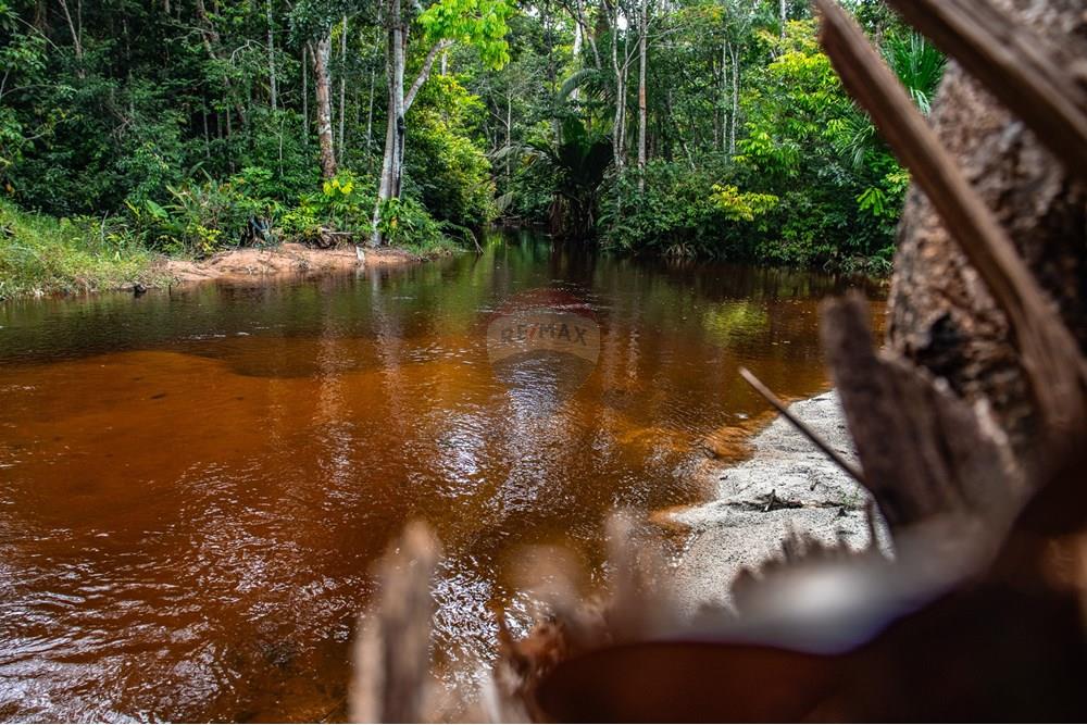 Chácara / Sítio / Fazenda - Venda - Novo Airão , Amazonas - IMG_7321.jpg - 720721055-29